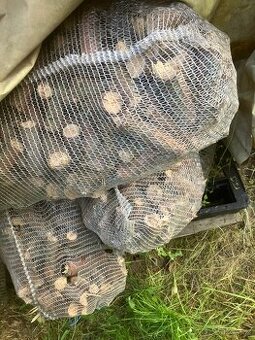 Smrkove spaliky, palivove drevo