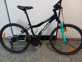 Kolo Author Matrix 24"