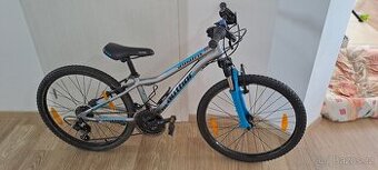 Author A-Matrix  24" - TOP STAV