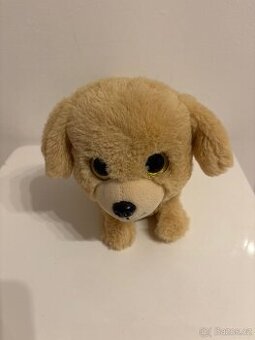 Pes HAFÍCI II. - Lumpík - Retrívr