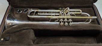TRUMPETA - Vincent Bach Stradivarious 37