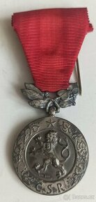 Medaile Za zásluhy o obranu vlasti Ag