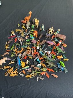 Safari