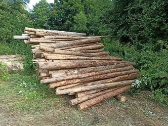 dřevo