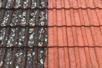 Čištění, renovace, nátěry střech a fasád