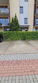 Pronájem parkovacího místa - 1