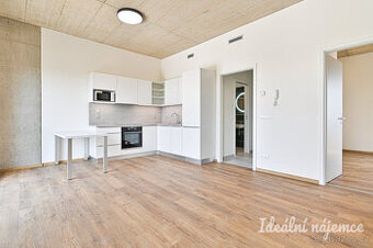 Pronájem bytu 2+kk, Bohunická, Horní Heršpice, 25000 Kč/měs,