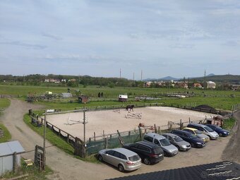 Nabízím pastevní ustájení