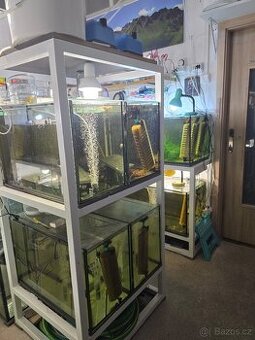 akvárium, akvária, stojan, stojany
