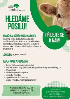 Krmič/ka, ošetřovatel/ka skotu