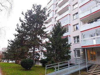 Prodej bytu 1+kk 33 m², Brno - Bohunice, ev.č. 40115