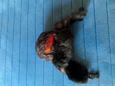 Zimní čepice Blesk vel.1-2 roky