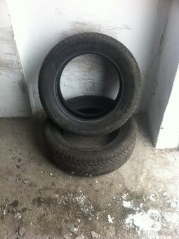 Zimní Pneu 205/60R16