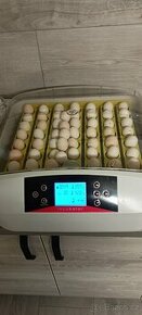 Inkubátor eeg 56 vajec