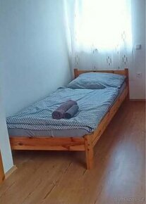 postel borovice masiv