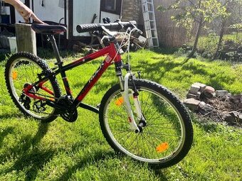Cykloadam rock machine