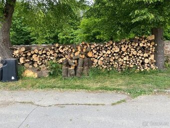 Palivové dřevo