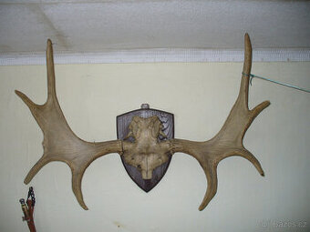 Parohy - trofeje - 1