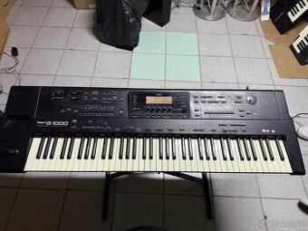 ROLAND G-1000