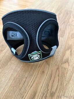 Dva postroje pro štěně