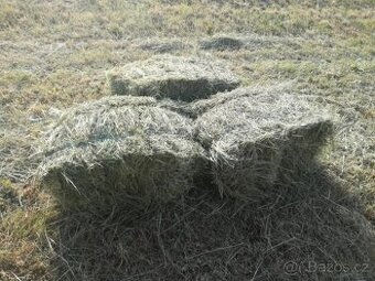 letošní seno malé balíky