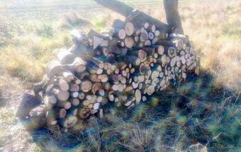 Palivové dřevo - tvrdé, štípané