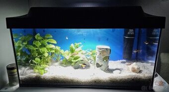 Kompletni akvarium 54 litru