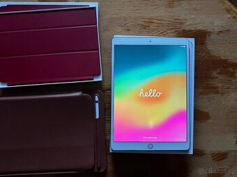 iPad Pro 10.5" (2017) | 256GB