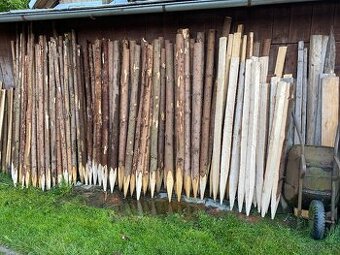 Smrkové kůly, palisády