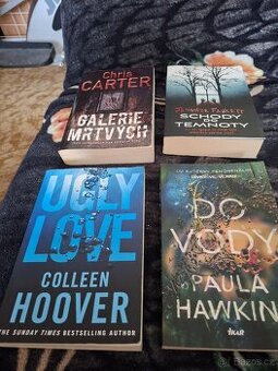 Prodam kniky za 100 kč