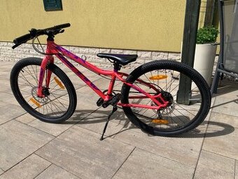 Amulet Youngster 24”