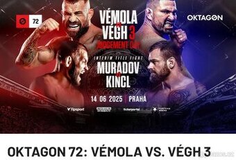 Koupím dvě vstupenky na oktagon 72 v Edenu