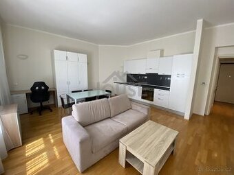 Pronájem slunného bytu 2+kk, 55 m2 - Praha - Holešovice- Let