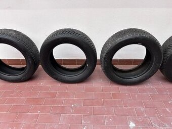 Nexen Winguard 215/55 R16 zimní