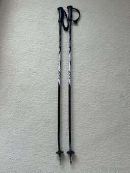 Lyžařské hůlky 105