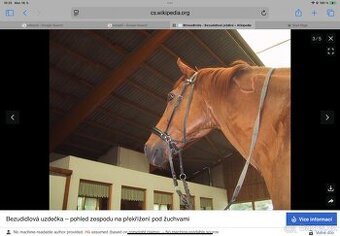 Uzdečka na jízdu bez udidla