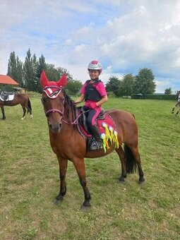 prodam pony- pronajem - 1