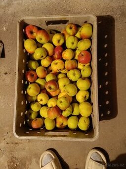 Prodám jablka