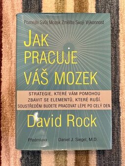 Jak pracuje váš mozek – David Rock (velmi dobrý stav)