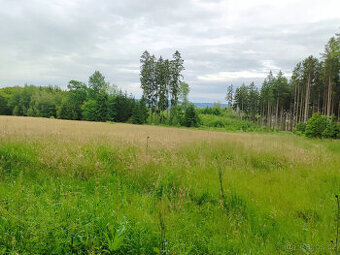 Prodej pozemku - trvalý travní porost, 6984 m2, Mirošov