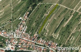 Prodej sady a vinice, 2450 m2 - Blatnice pod Svatým Antonínk - 1