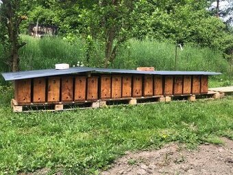 oddělky a matky kraňka