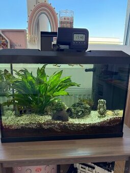 Akvárium-70l-vybavené-ještě v záruce