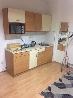 Pronájem bytu 1KK, Brno- Banskobystrická