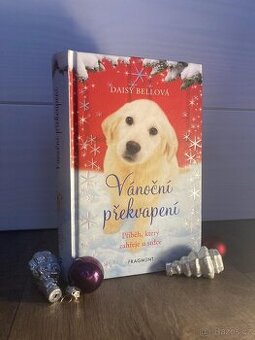 Knížka - Vánoční překvapení