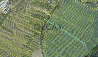 prodej pole, 13 376m2 - 1