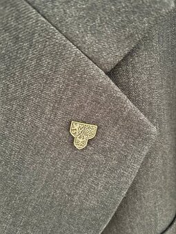 Odznak Hradní stráže PIN