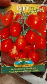 Sazenice rajčat a okurek - 1