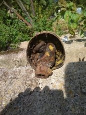 Kardan citron na šestidrážku