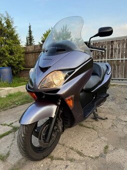 Honda forza 250